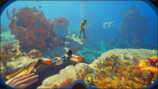 海洋サバイバルゲーム『Subnautica 2』の魅力の画像