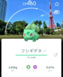 東京のランドマークを背景にしたフシギダネ
