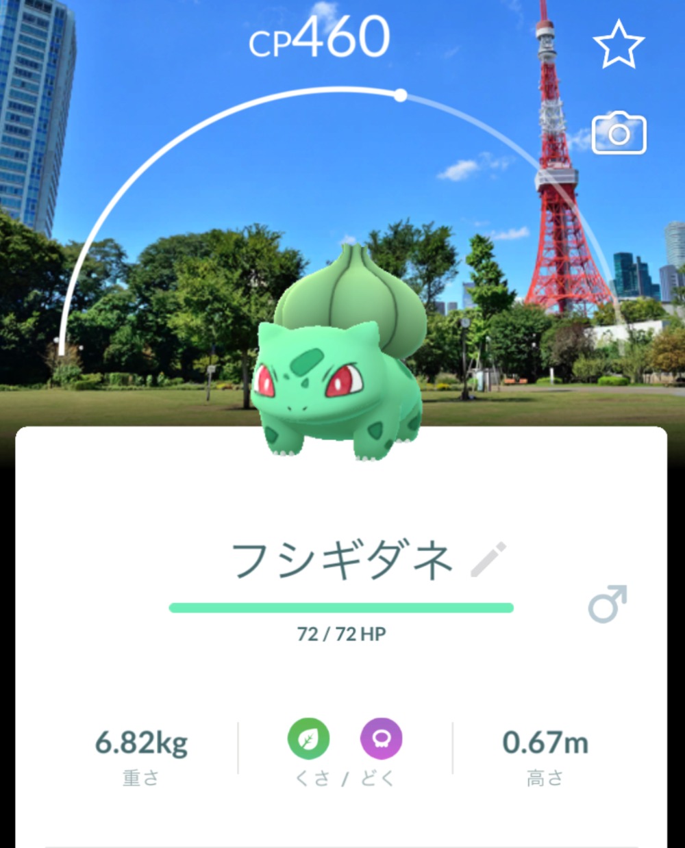 東京のランドマークを背景にしたフシギダネ