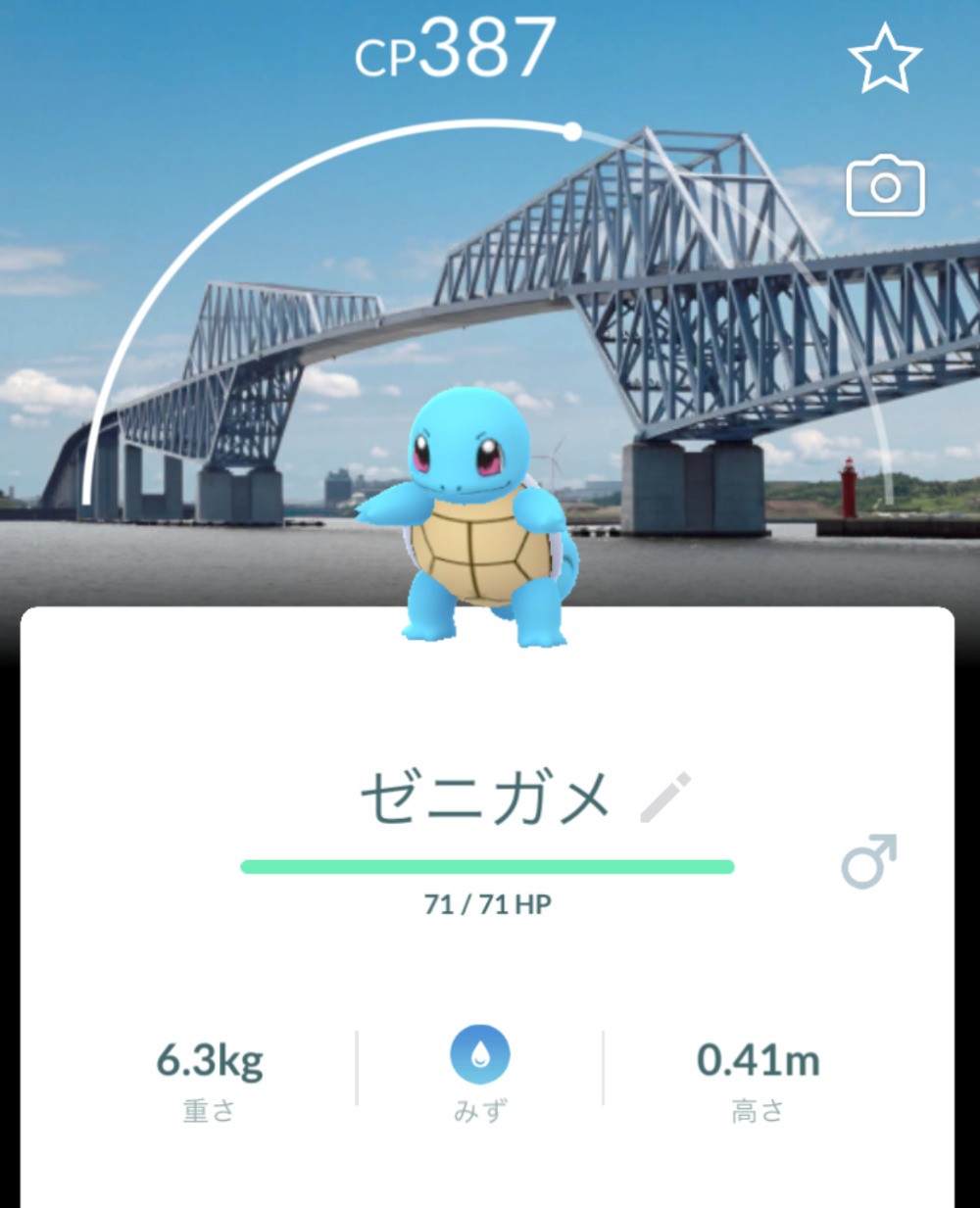 東京のランドマークを背景にしたゼニガメ