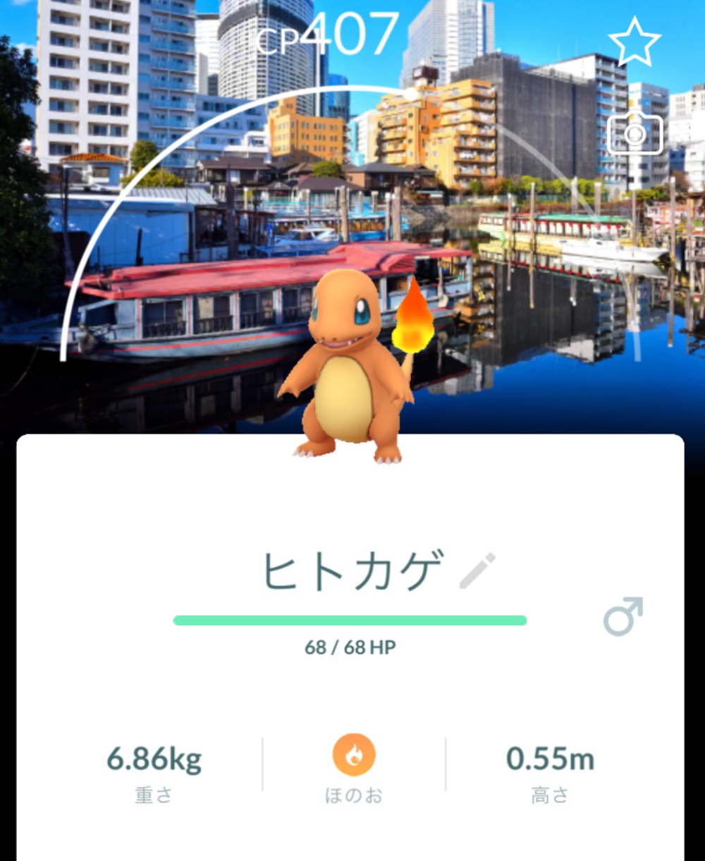 東京のランドマークを背景にしたヒトカゲ