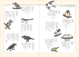 川上和人『新版トリノトリビア』7月刊行の画像