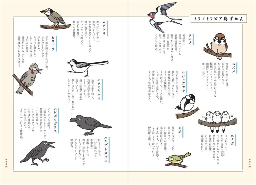 川上和人『新版トリノトリビア』7月刊行