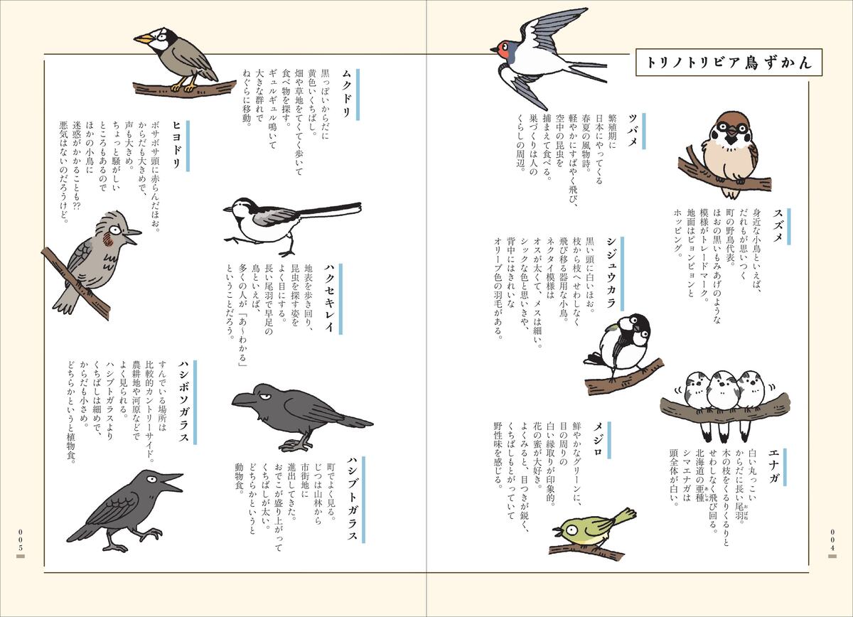 川上和人『新版トリノトリビア』7月刊行