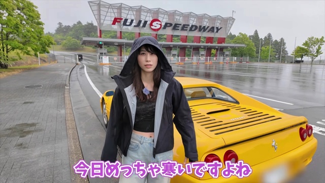「フェラーリ F355 ベルリネッタ」で爆走するあま猫