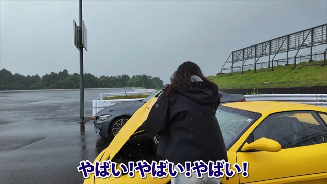 「フェラーリ F355 ベルリネッタ」で爆走するあま猫