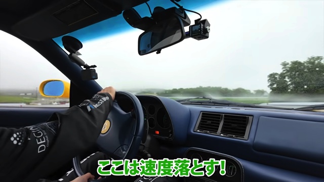 「フェラーリ F355 ベルリネッタ」で爆走するあま猫