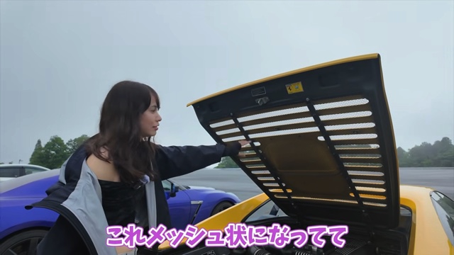 「フェラーリ F355 ベルリネッタ」で爆走するあま猫