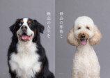 『DOG LOVERS PRESS』前澤友作と愛犬が表紙の画像
