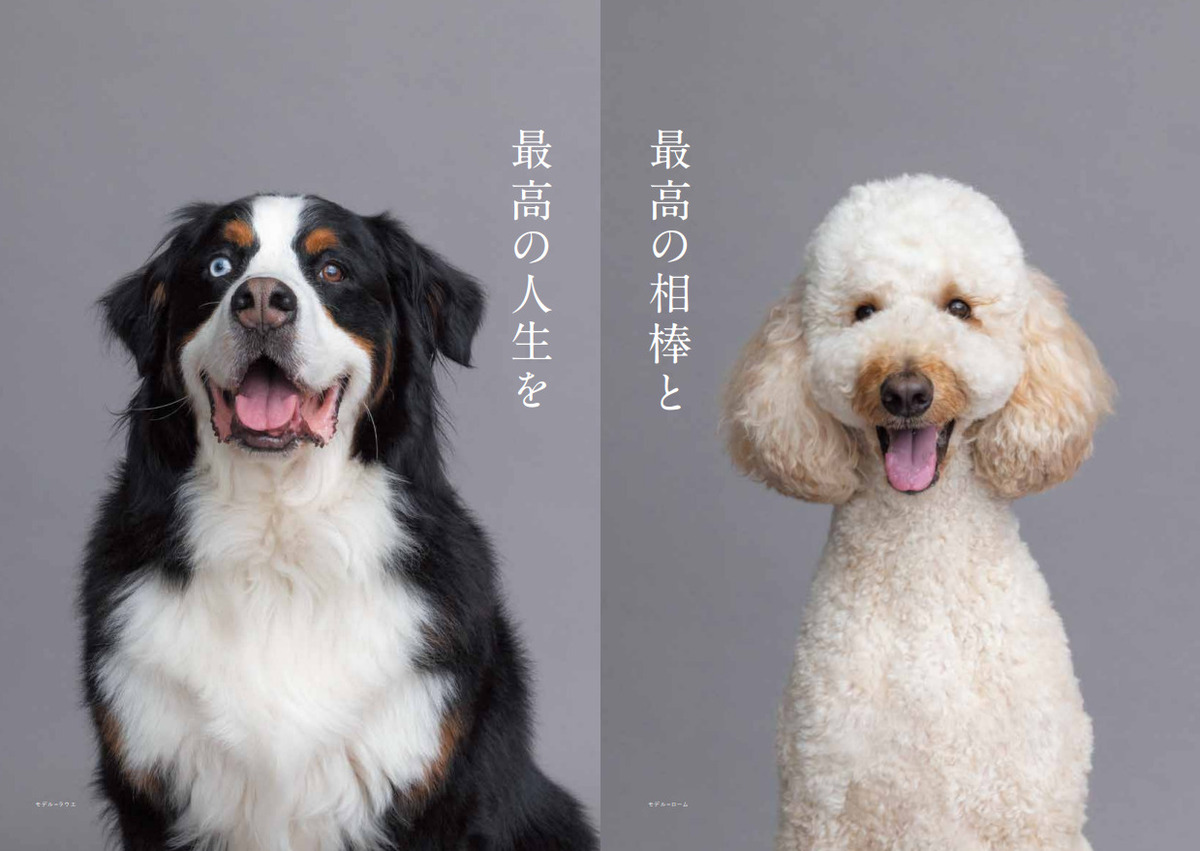 『DOG LOVERS PRESS』前澤友作と愛犬が表紙の画像
