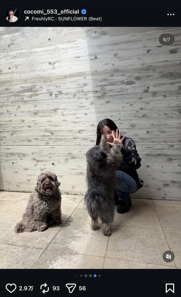 Cocomi 公式Instagram