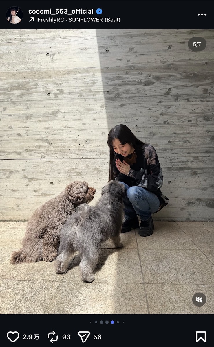 Cocomi 公式Instagram