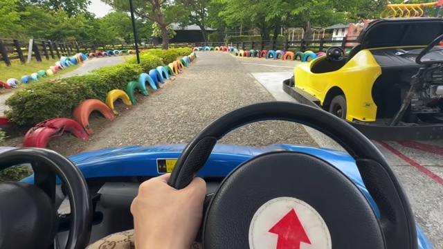 タケヤキが紹介した『天橋立ビューランド』のサイクルカー
