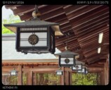 「写真」と「ポートレイト」の表現の相違
