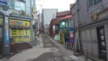 スーツが訪れた鬱陵島