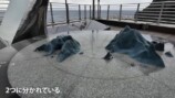 スーツが訪れた鬱陵島