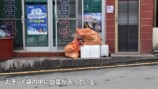スーツが訪れた鬱陵島