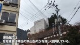 スーツが訪れた鬱陵島