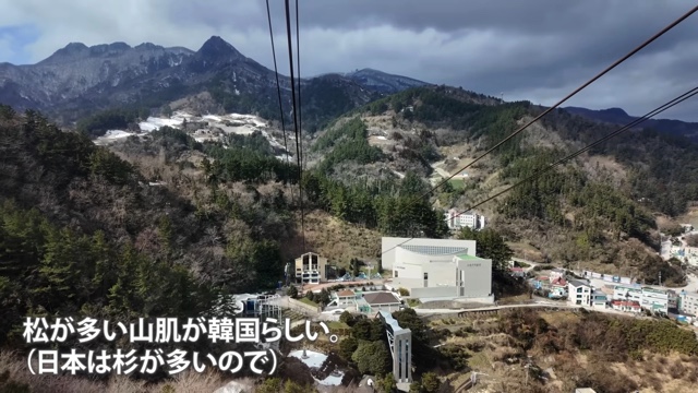 スーツが訪れた鬱陵島