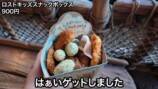 エミリン、25周年のディズニーシーで爆食の画像