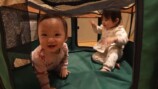 赤裸々な家族トークを繰り広げるかの＆ぎし＆ありしゃん