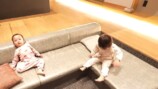 赤裸々な家族トークを繰り広げるかの＆ぎし＆ありしゃん