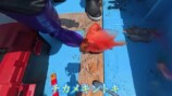 かねこが捌いたフサカサゴ