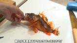 かねこが捌いたフサカサゴ