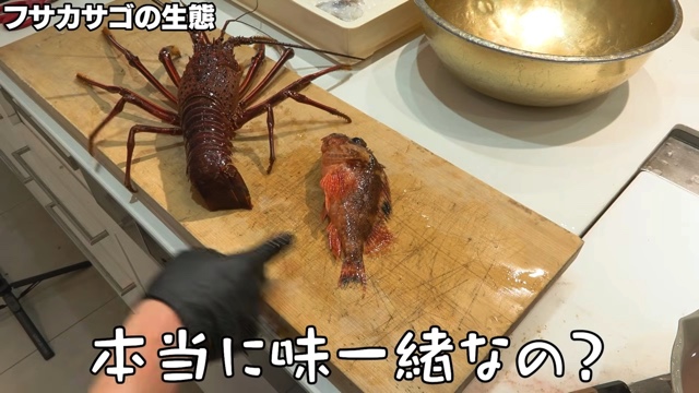 かねこが捌いたフサカサゴ