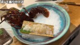 かねこが捌いたフサカサゴ