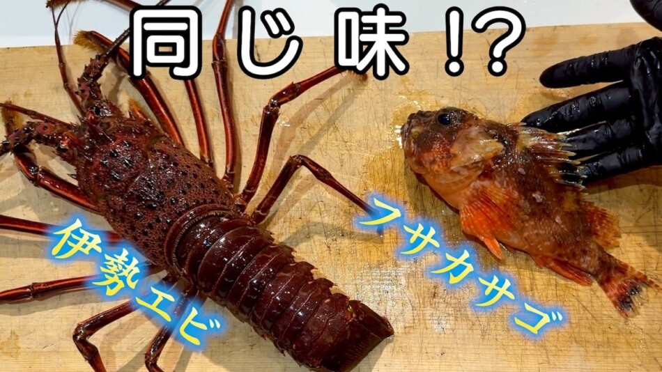 きまぐれクック、“伊勢エビ味の魚”実食