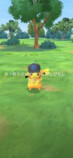 ©Niantic ©Pokémon/Nintendo/Creatures/GAME FREAK
