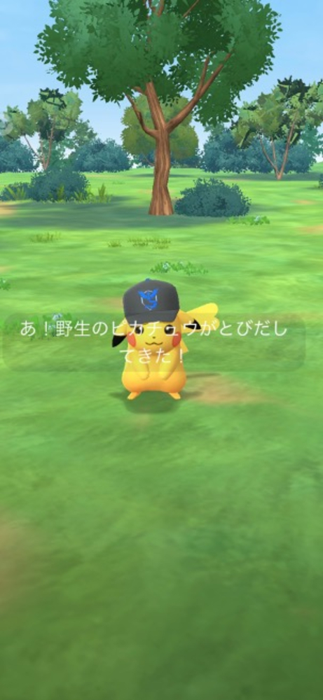 ©Niantic ©Pokémon/Nintendo/Creatures/GAME FREAK