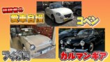 テリー伊藤が紹介した名車