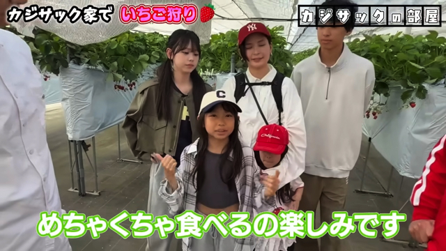 家族でいちご狩りを楽しむカジサック