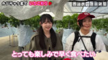 家族でいちご狩りを楽しむカジサック