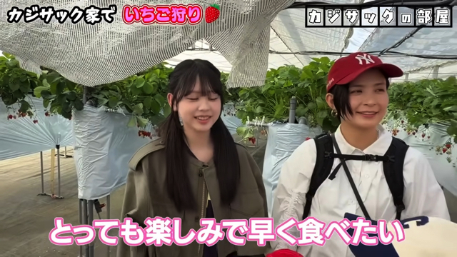 家族でいちご狩りを楽しむカジサック
