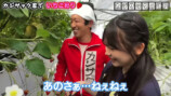 家族でいちご狩りを楽しむカジサック
