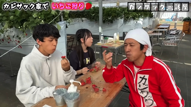 家族でいちご狩りを楽しむカジサック