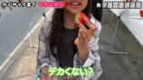 家族でいちご狩りを楽しむカジサック