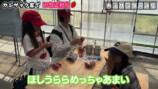 家族でいちご狩りを楽しむカジサック