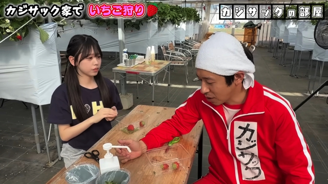 家族でいちご狩りを楽しむカジサック