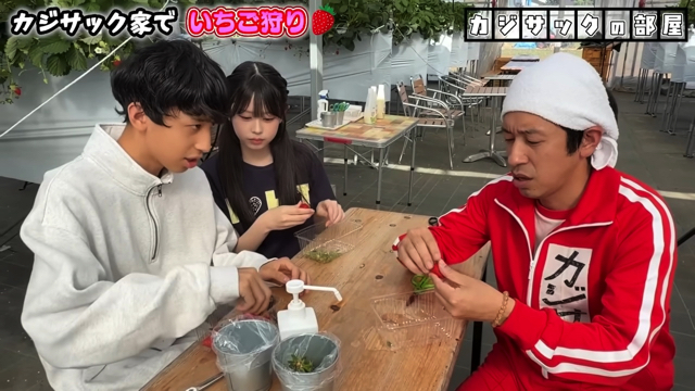 家族でいちご狩りを楽しむカジサック