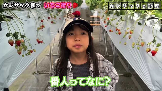 家族でいちご狩りを楽しむカジサック