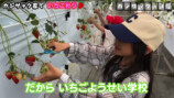 家族でいちご狩りを楽しむカジサック