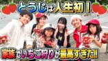 家族でいちご狩りを楽しむカジサック