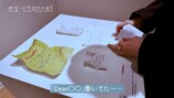 『平成恋愛展』を満喫する白石麻衣