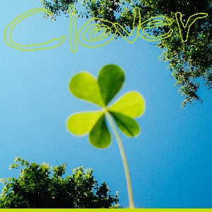 汐れいら「Clover」ジャケット写真
