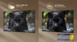 Intertek 100% Color Fidelity
