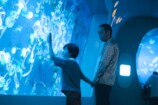 賛否両論『箱の中の羊』を徹底解説の画像